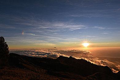 IGN评15款最佳免费Xbox游戏 《Apex英雄》等